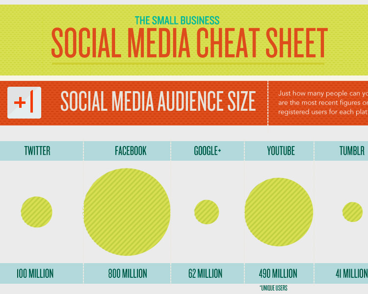social_media_infographics_cheatsheet[1]