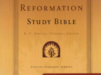 Reformation Study Bible