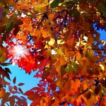 My Favorite Season has Arrived!