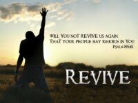 Revival Harvest Campaign 2012: Revival Must Go On…