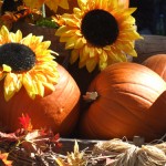 Our First Annual Fall Festival