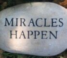 The Miracle Of Opportunity