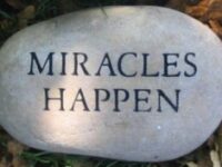 The Miracle Of Opportunity