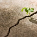 Stop Protesting God’s Overwhelming Grace