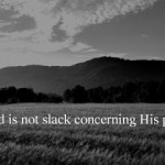 He is Faithful to His Promises