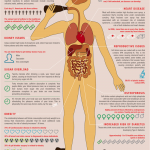 Soft drinks impact health
