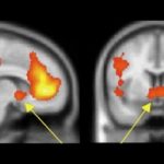 Bragging and Boasting