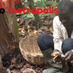 The Spiritual Toll of American Consumerism