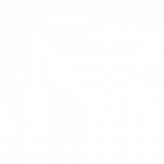 What They’re Reading