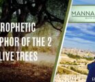 PROPHETIC METAPHOR OF THE 2 OLIVE TREES | EPISODE 986