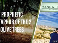 PROPHETIC METAPHOR OF THE 2 OLIVE TREES | EPISODE 986