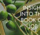 Insight into the book of Job