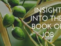 Insight into the book of Job