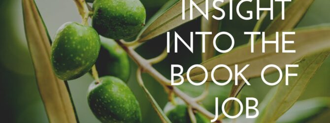 Insight into the book of Job