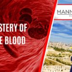 MYSTERY OF THE BLOOD | EPISODE 1007