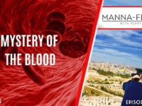 MYSTERY OF THE BLOOD | EPISODE 1007