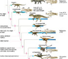 Dinosaurs evolved into tiny tweety little birdies? Apes turned into…