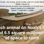 How did Noah get all of those animals on the…
