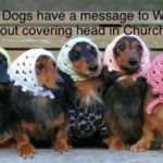 1 Corinthians 11: 5 But every woman who prays or…