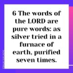 The Scripture consists of 66 separated books, 39 in the…