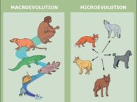 Most Atheist believer of evolution still confused with this! They…