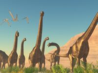 Media uses dinosaurs as a gateway drug to support evolution,…