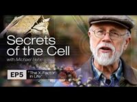 Biochemist and bestselling author Michael Behe explores the key missing…
