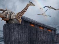 Here’s What Nobody Told You About Noah’s Ark