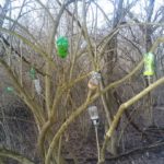 Some things are just properly basic. Things we just know…