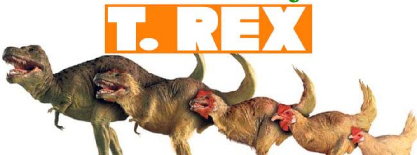 t rex and chicken