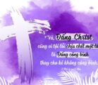 Christ died for our sins “once for all”. Now, what…