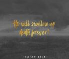 He will swallow up death in victory; and the Lord…