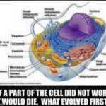 This is a very sincere question. There’s what’s called “specified…