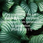 THE DECREES OF GOD “This is the plan determined for…