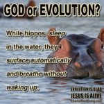 THE HAPPY HIPPO (Evolution Crusher)… From the new book, “EVOLUTION:…