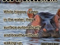 THE HAPPY HIPPO (Evolution Crusher)… From the new book, “EVOLUTION:…