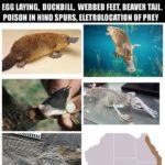 Just going to leave this here…