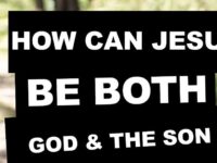 Thought this was an interesting question: How can Jesus be…