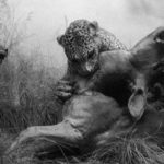 Richard Dawkins is one of the world’s most famous atheists….