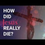 I just made this and would love to know your…