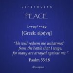 Savouring the Fruit of the Holy Spirit (Galatians 5:22-23) PEACE…