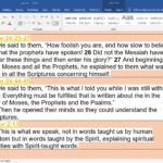 Sola Scriptura, a few thoughts on the Bible as its…