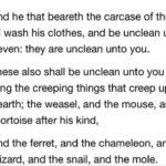 How Can an Apologetic Refute This ..?