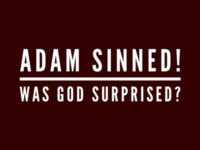 If Adam’s sin surprised God, is God sovereign? If God…