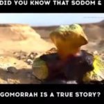 Webster’s #Dictionary defines perversion as “a diverting from the true…