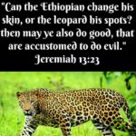 We act according to our nature. A bird does what…