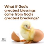 These tests have come to prove your faith and to…