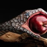 Cause and Responsibility In judgement is the outcome and result…