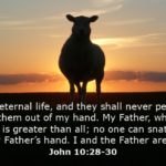 Do we lose salvation with…