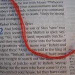 It is so important to understand the “big picture” of…